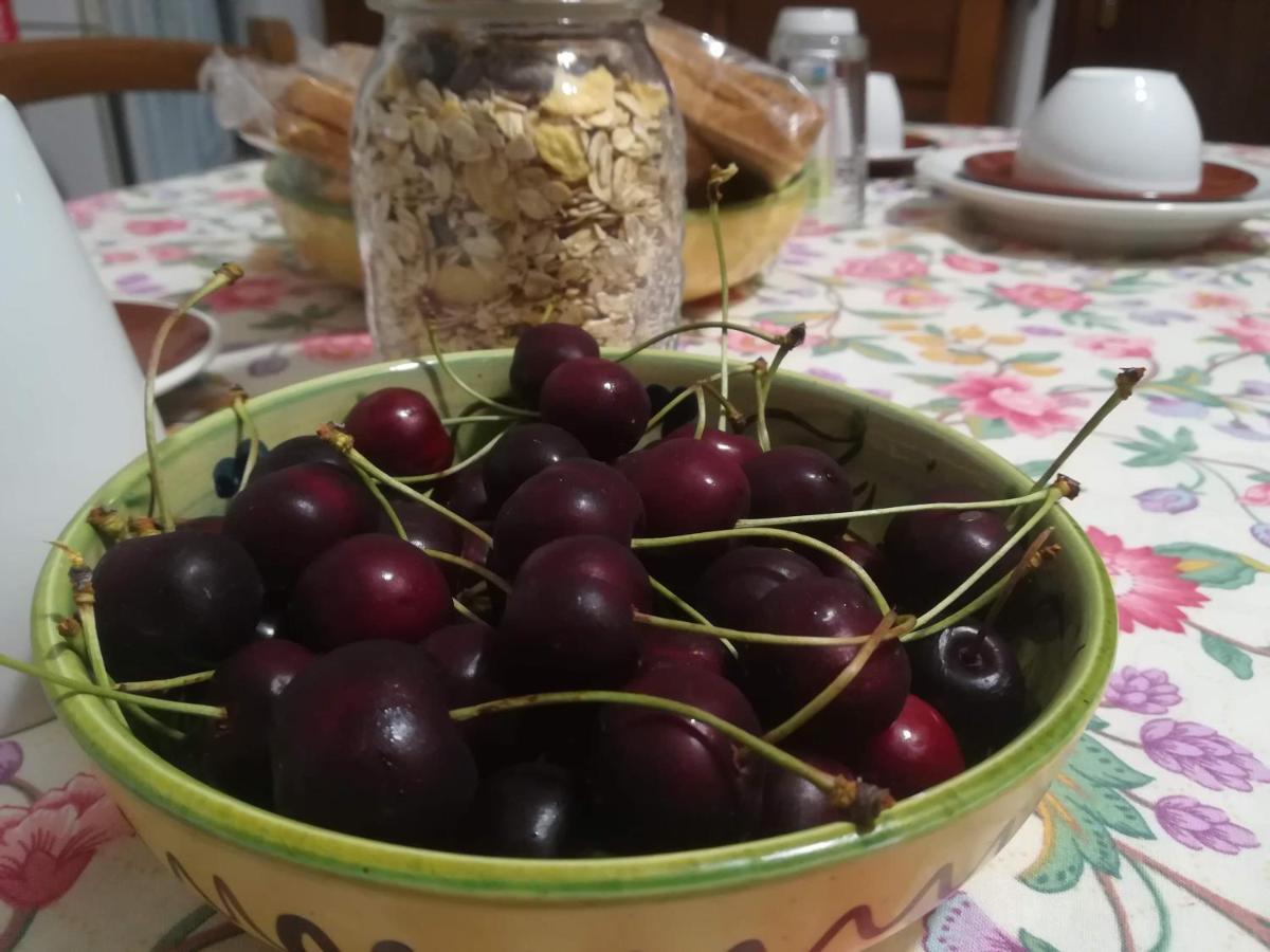 A Casa Di Carla B&B San Raffaele Cimena Eksteriør billede